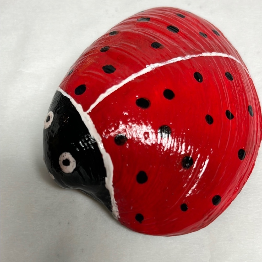 Hand Painted  Ladybug Shell - Picture 4 of 9